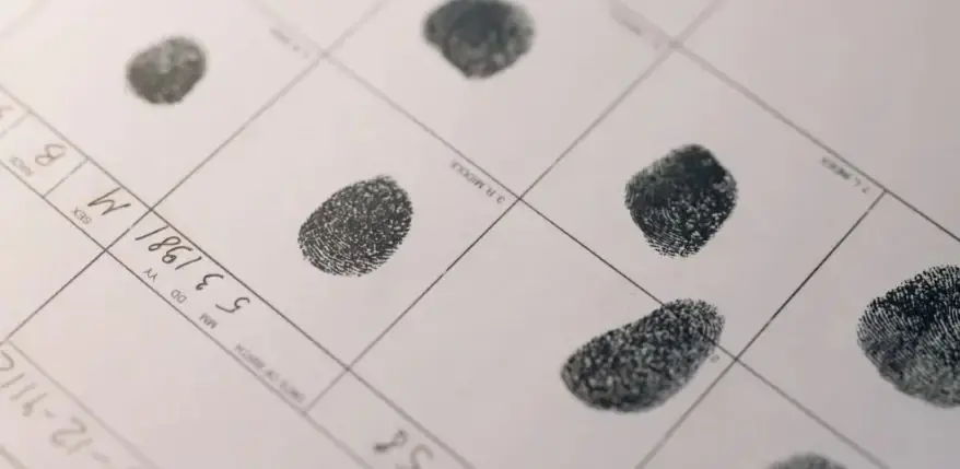 Forensic Analyst (Source: Pexels)