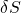 \delta S