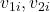 v_{1i}, v_{2i}