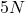 5 N