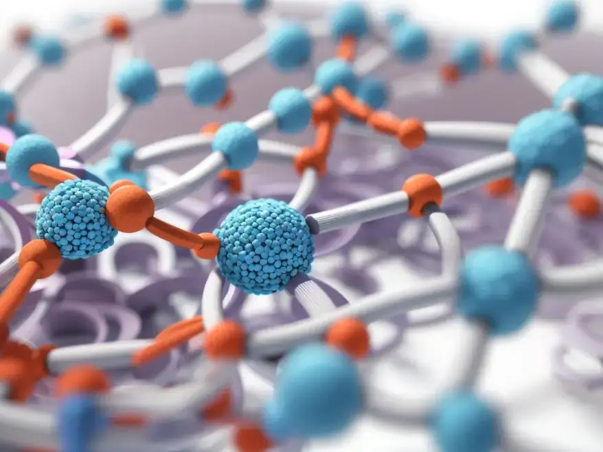 biomolecules in biochemistry