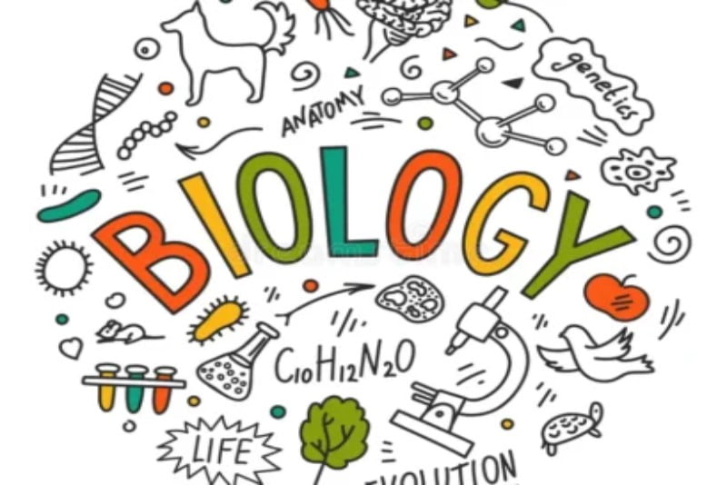 Biology - Science, Technology, Engineering and Math - STEM Magazine