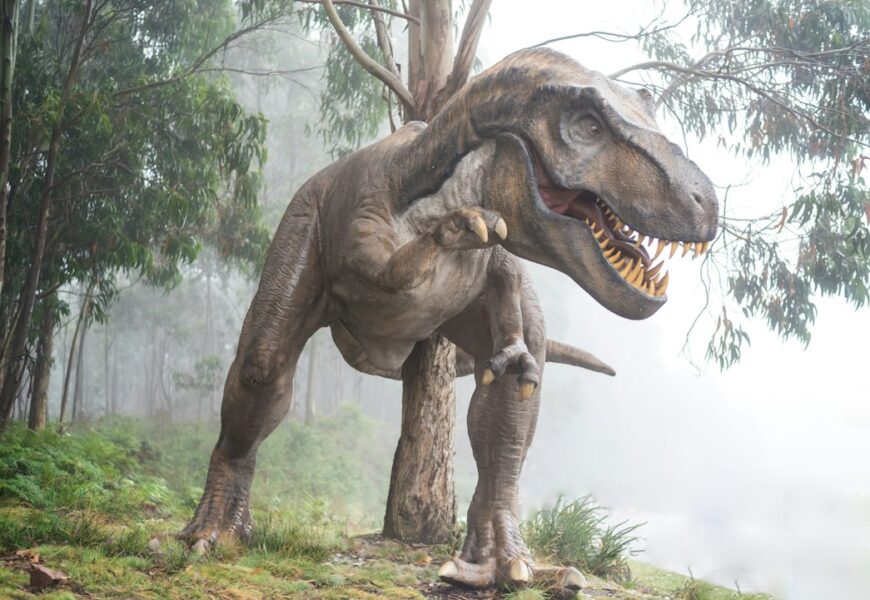 Dinosaurs T - Rex is standing in a wooded area.
