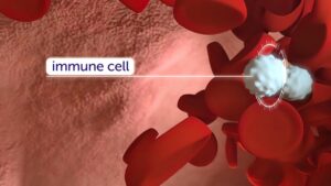3d-medical-of-immunotherapy