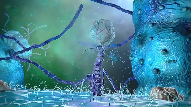 
3D Scientific illustration of bacteria with prokaryotic organisms