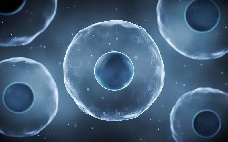 cell biology