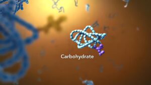 carbohydrate-into-molecular-structure-molecules-molecules-that-are-laid-out-in-an-orderly-row-3d-illustration