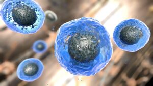 concept-of-antibody-immunology-and-immunoglobulin-as-an-antibody-B-Cell