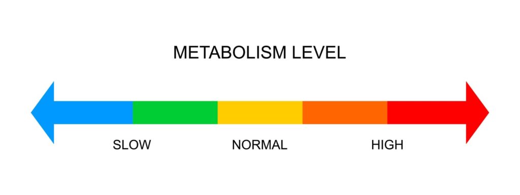 metabolic health