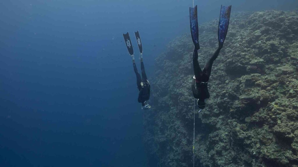 scuba divers studying depth of oceans
