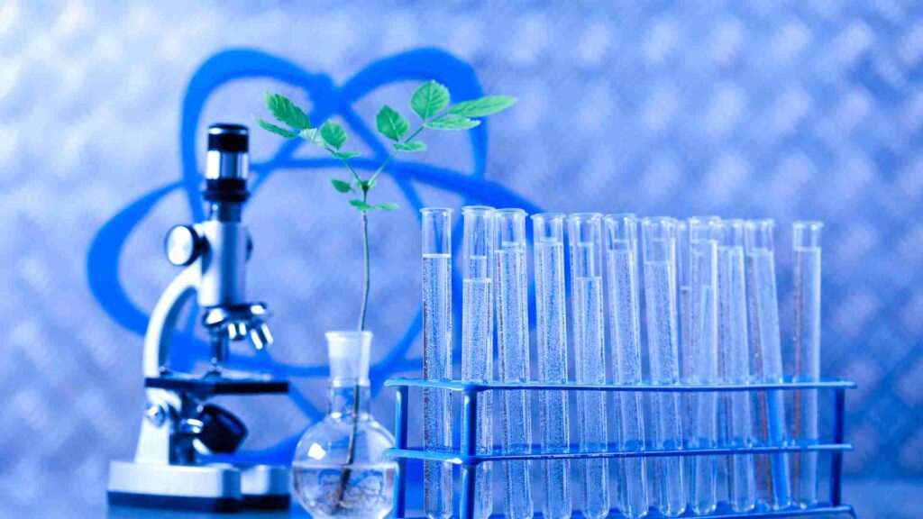 biotechnology in agriculture and environment sustainability