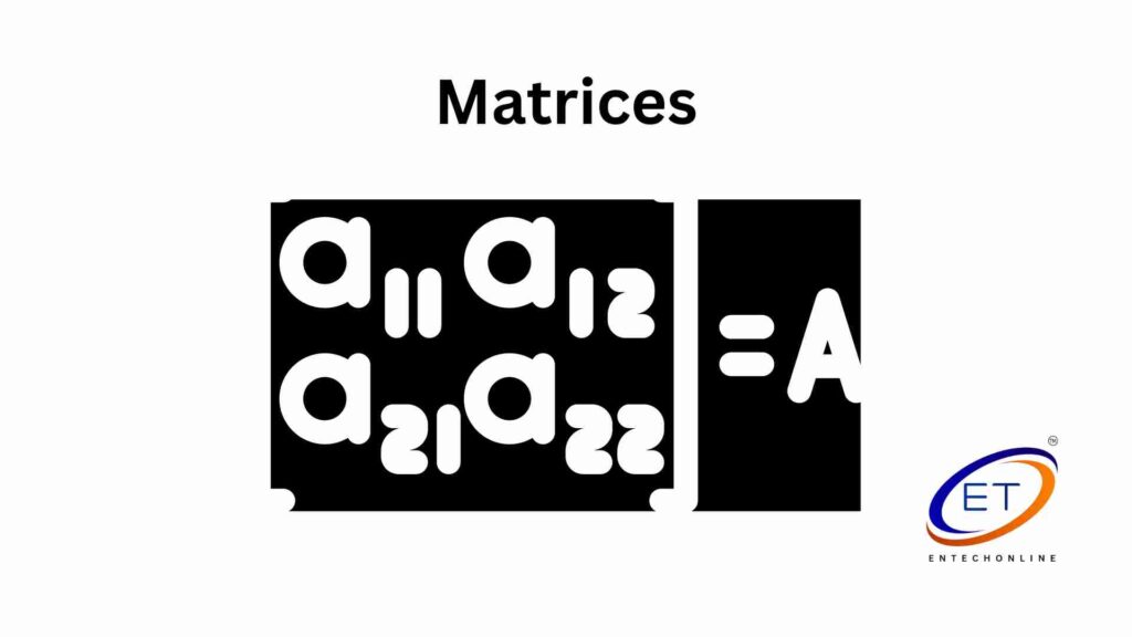 matrices in real life
