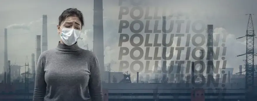 Pollution Remediation: Key to Environmental Sustainability