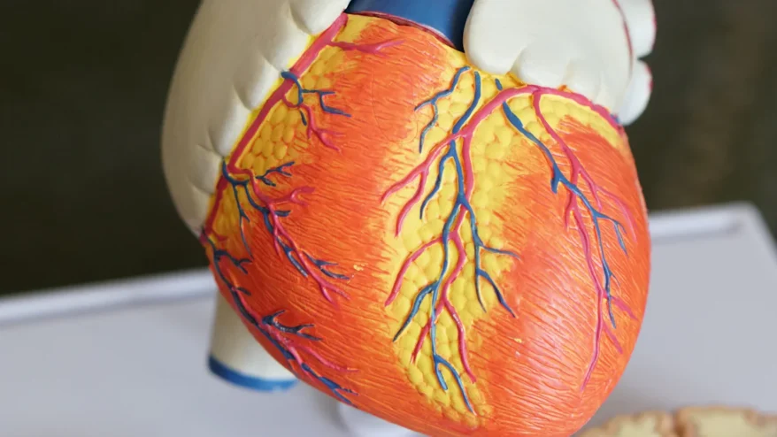 Understanding Poor Blood Circulation