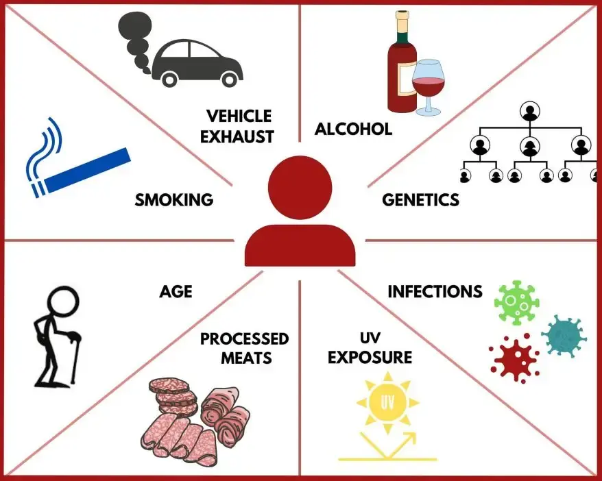 Potential Cancer Causes