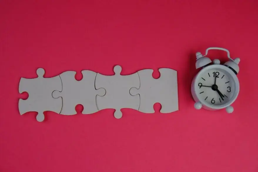 THE PUZZLE TIME CHALLENGE