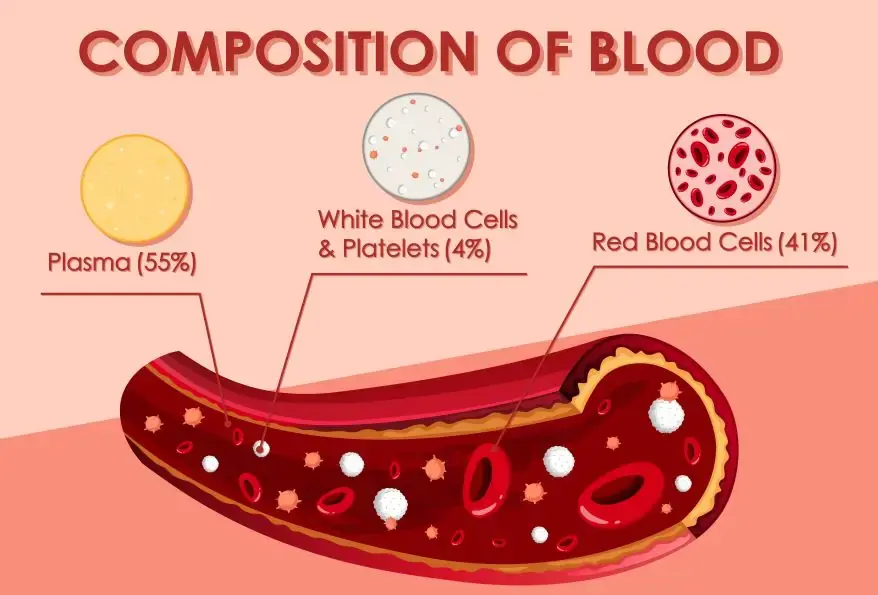 Composition of Blood