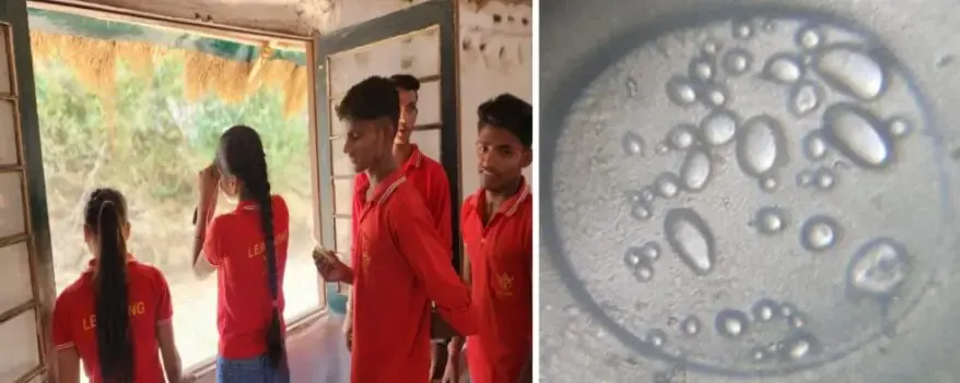 A potato sample as observed