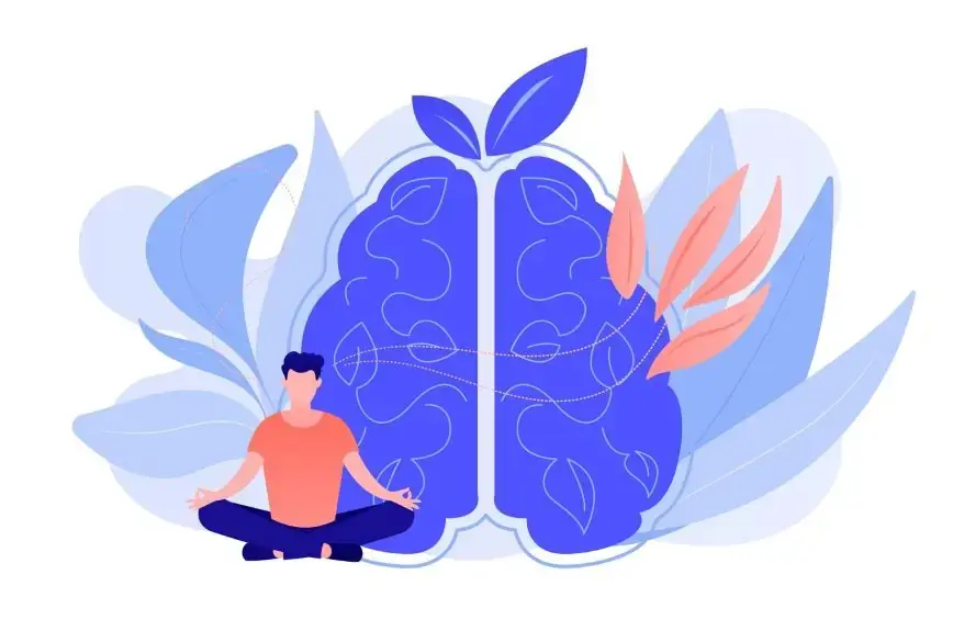 Brain