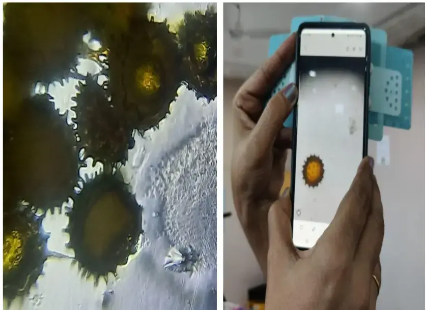 single cell from a crowded field.