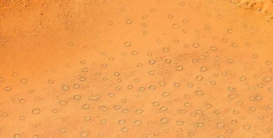 Aerial View of the Mysterious Circles (Source: Wikipedia)