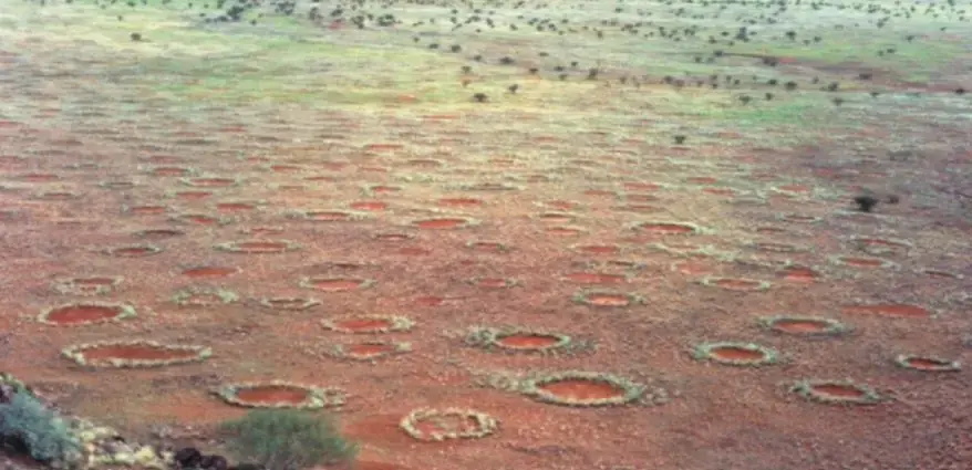Characteristics of Fairy Circles (Source: Wikipedia)