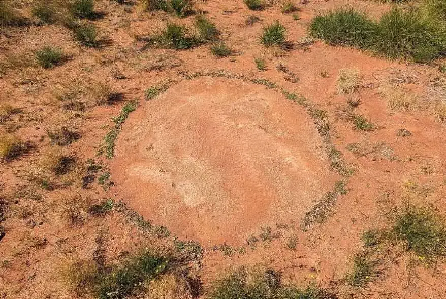 Fairy Circle (Source: Wikipedia)