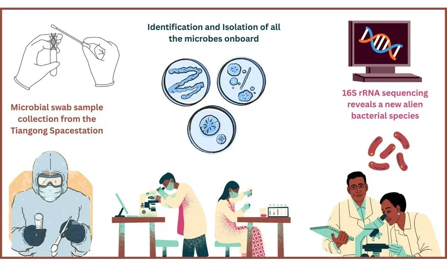 Scientists analyzing a microbial swab sample from a space station.