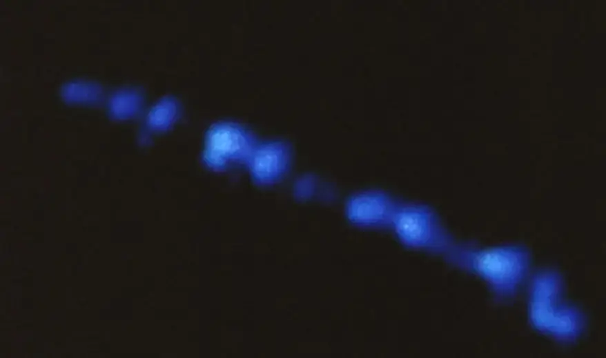 A Blue Flashing Light Taken During the Field Work in Hessdalen 1984 (Source: hessdalen.org/home/for-the-media)