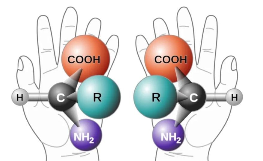 Left and Right Hands as a Classic Analogy of Molecular Chirality