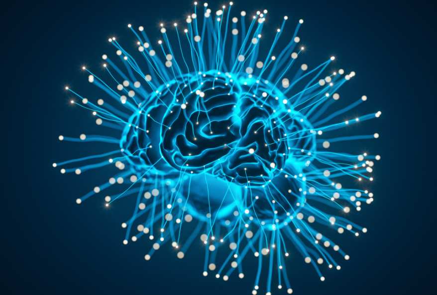 Human Brain with Strings