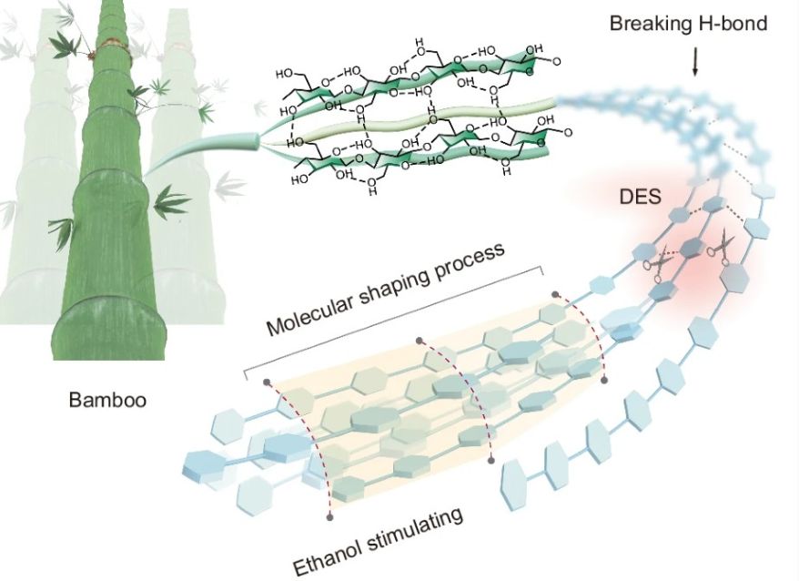 Biodegradable Plastics (Source: https://www.nature.com/articles/s41467-025-63904-2/figures/1)
