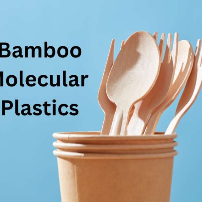 Bamboo Molecular Plastics
