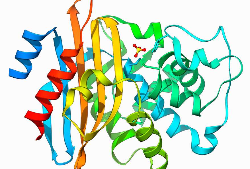 Beta-lactamase enzyme