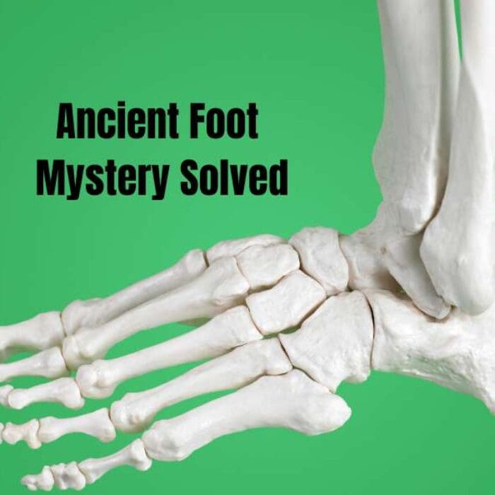 Ancient Foot Mystery Solved