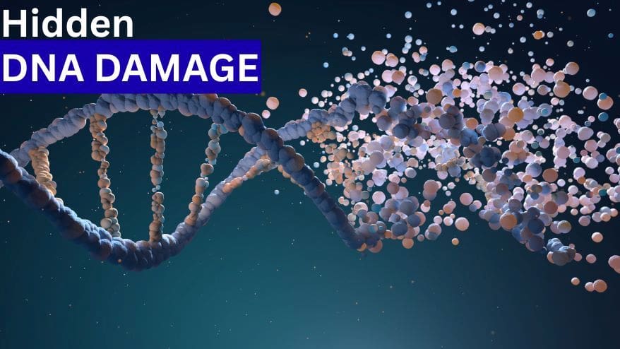 DNA Damage: Understanding Its Causes and Effects