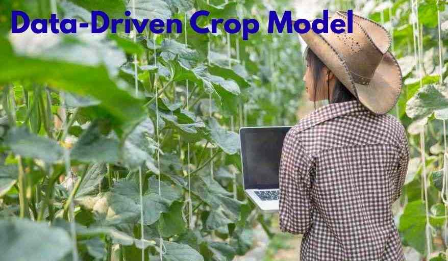 Control Data Crop Data-Driven Crop Model for Sorghum Growth