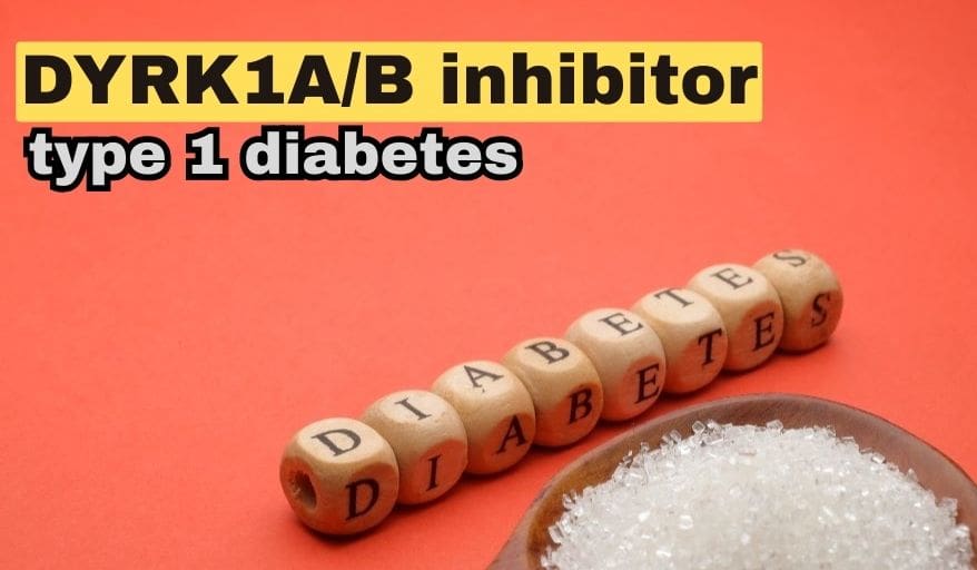 Dual DYRK1A/B Inhibitor for Type 1 Diabetes Explained